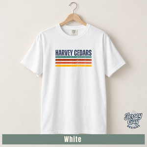 Retro Stripe Harvey Cedars (8).png