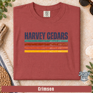 Retro Stripe Harvey Cedars (4).png