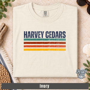 Retro Stripe Harvey Cedars.png