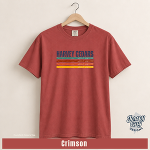Retro Stripe Harvey Cedars (11).png