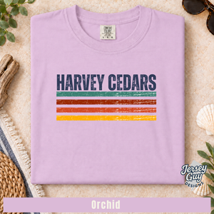 Retro Stripe Harvey Cedars (3).png